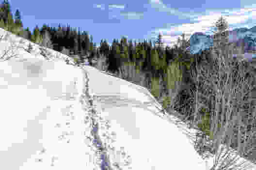 Sonne geniessen vor den schattigen Diablerets