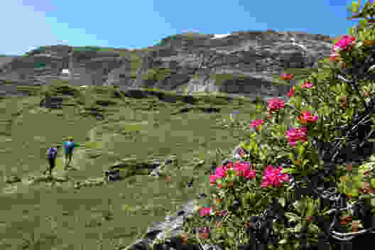 Durch die Karstlandschaft auf den Chäserrugg