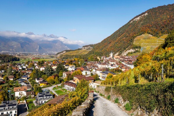 Durch die Kastanienselven im Chablais