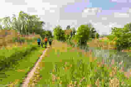 Auenlandschaft vor den Toren Basels