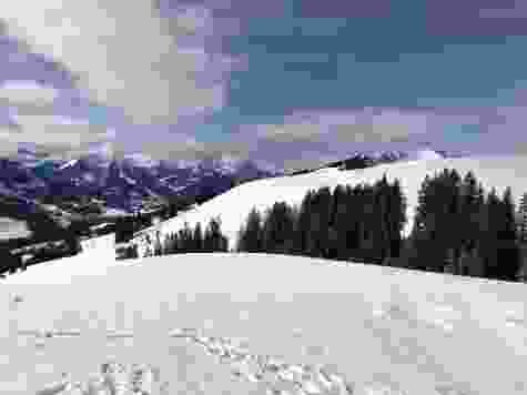 Panoramawanderung über verschneite Hochmoorflächen