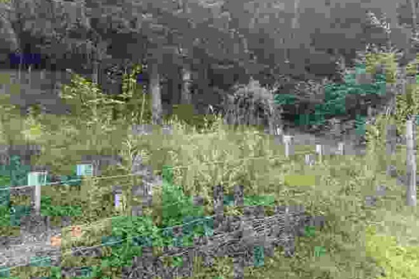 Entdeckungspfad «Honigbiene und Biodiversität»