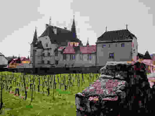 Von St-Blaise nach Le Landeron