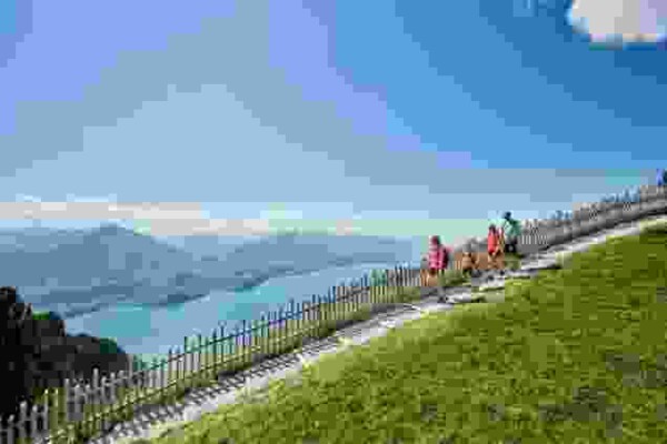 Alpen-OL auf dem Niederhorn