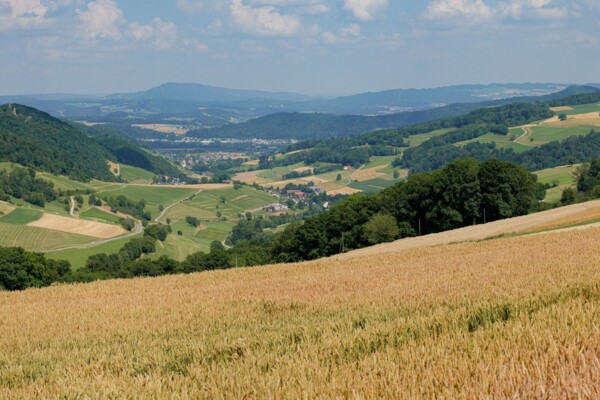 Auf Reptilien-Tour im Schenkenbergertal