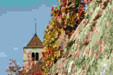 Douanne, Gléresse et l’île Saint-Pierre (BE)