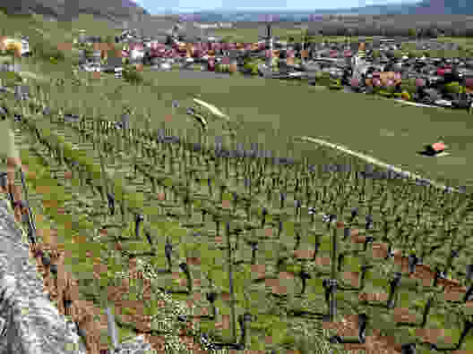 Von St-Blaise nach Le Landeron