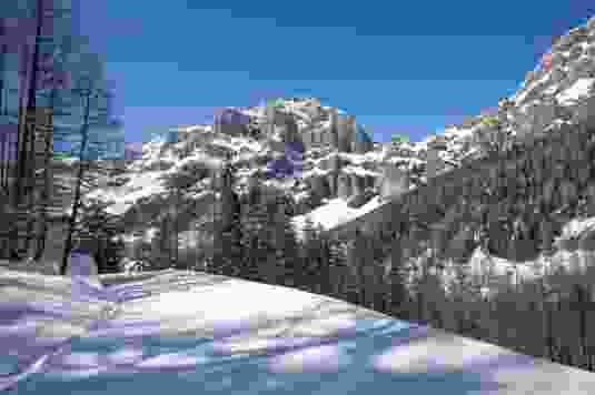 Aux origines de la protection contre les avalanches