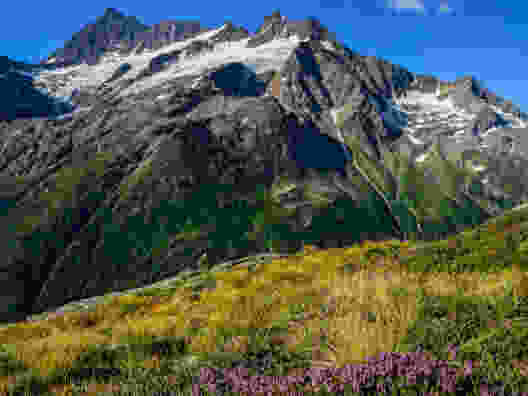 La nature à l’état pur