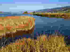 An den Ufern des Lac de Joux