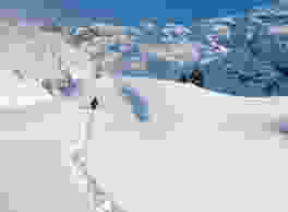 Rund um den Trübsee