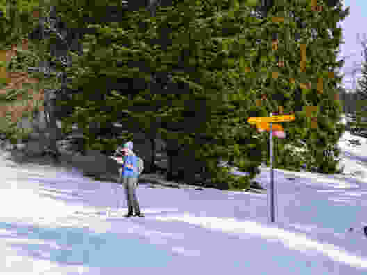 Schneeschuhwanderung auf den Chasseron
