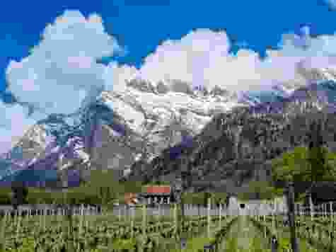 Passeggiata tra vigneti e castelli attraverso la Signoria Grigionese