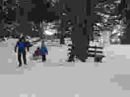 Durch Grächens verschneite Wälder