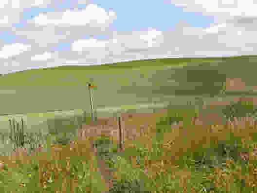 Von Schwarzenburg nach Mittelhäusern