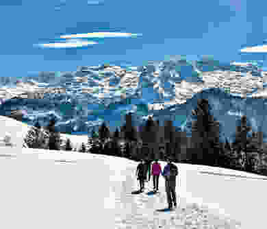 Von Oberberg an die Ibergeregg