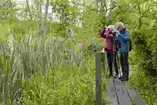 Neue Natur im Seebachtal