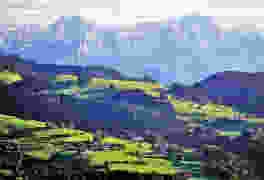 Mineralwasser
