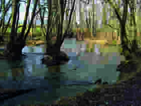 Von Chavannes-de-Bogis nach Versoix