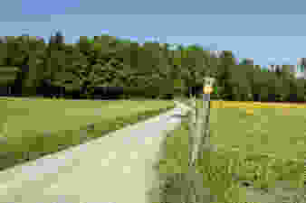Attraverso la città, nella natura ZH