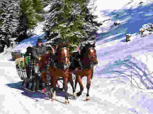 Winterzauber im Saanenland