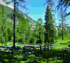 Bahnhistorische Wanderung am Albulapass