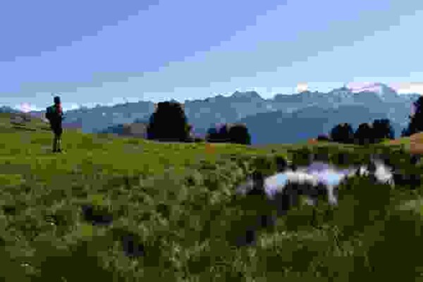 Alpeggi in fiore e torbiere alte sul Lucomagno
