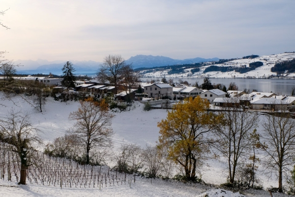 Douceur près du lac de Baldegg