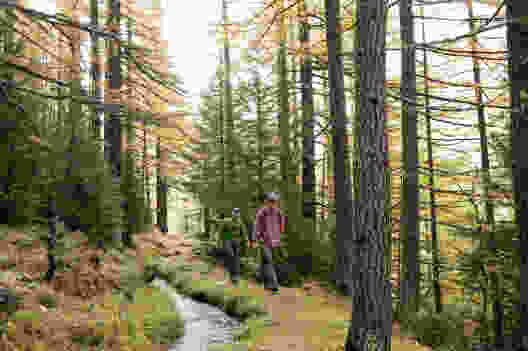 Höhenweg auf dem Simplon