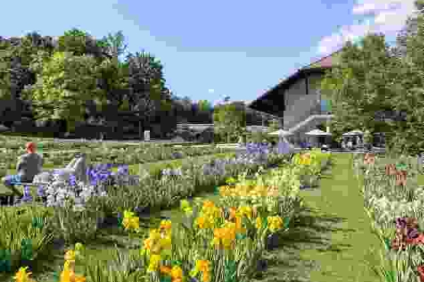 Frühlingspfad am St. Alban-Teich in voller Blüte