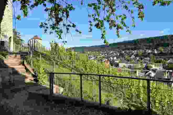 SCHAFFHAUSEN: RHEIN UND MUNOT