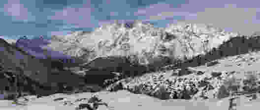 Die alten Lärchen des Saastals