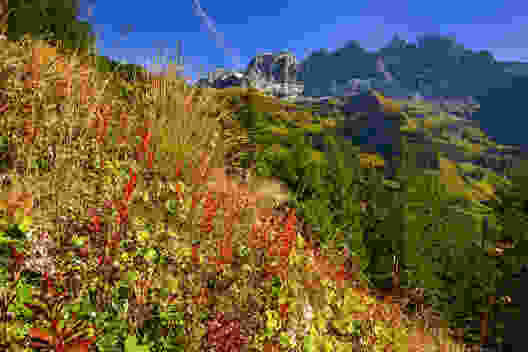 Am Fuss der Dents du Midi