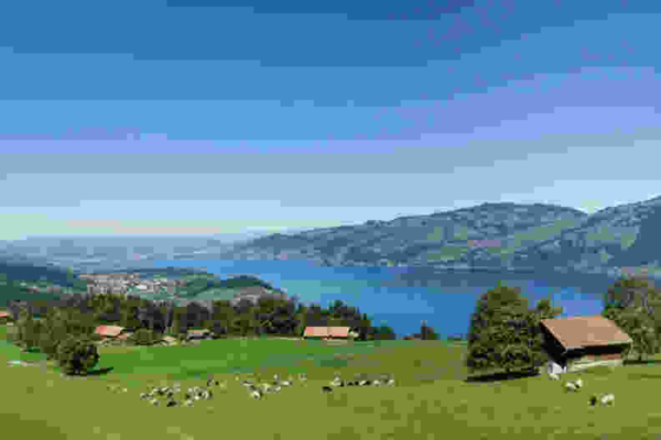 Malerisches Wandern über dem Thunersee