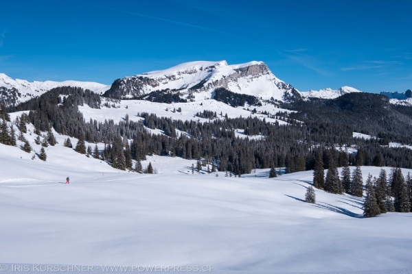 Neige et meringues sur la Lombachalp