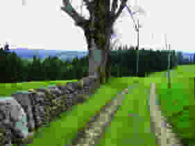 Durch Wälder und Weiden