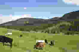 Kanton Obwalden