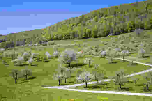 Au pays des cerisiers, de Gempen à Liestal