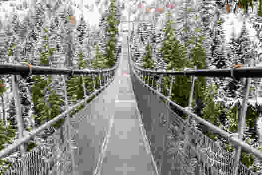 Durch geheimnisvollen Winterwald
