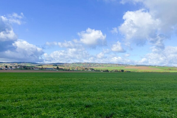 Sur les traces d’un des plus célèbres peintres vaudois