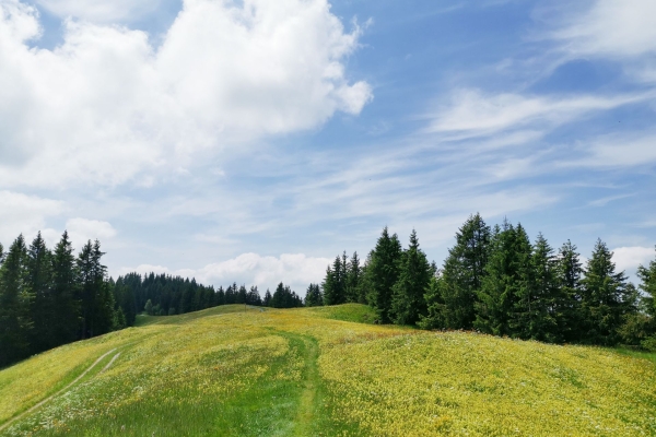 Gipfelglück im Entlebuch