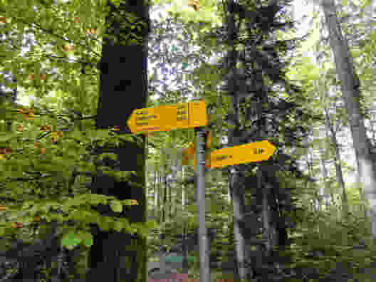 Sur le Sentier du Sel à Bex