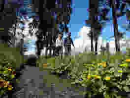 Mineralwasser