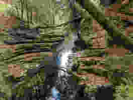 Fabelhafte Areuse