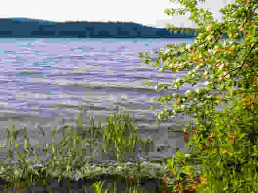 An den Ufern des Lac de Joux