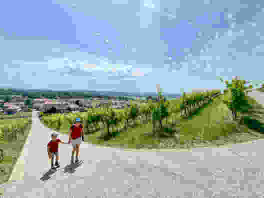 Auf historischen Pfaden am Mont Vully