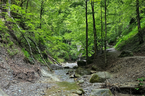 La fraîcheur des gorges de Choleren
