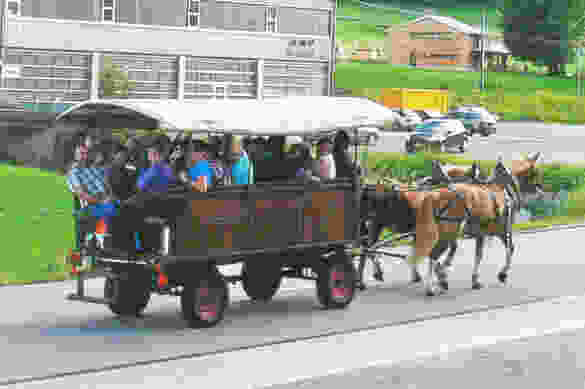 Kutschenplausch und Barfussweg am Kronberg