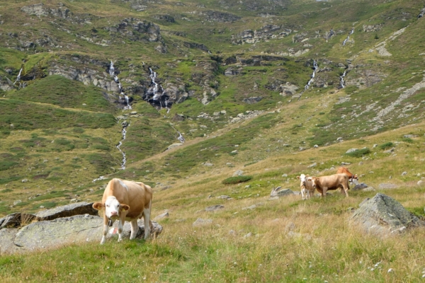 Vom Bleniotal in die Leventina