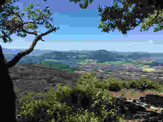 Nel paradiso dei ciliegi